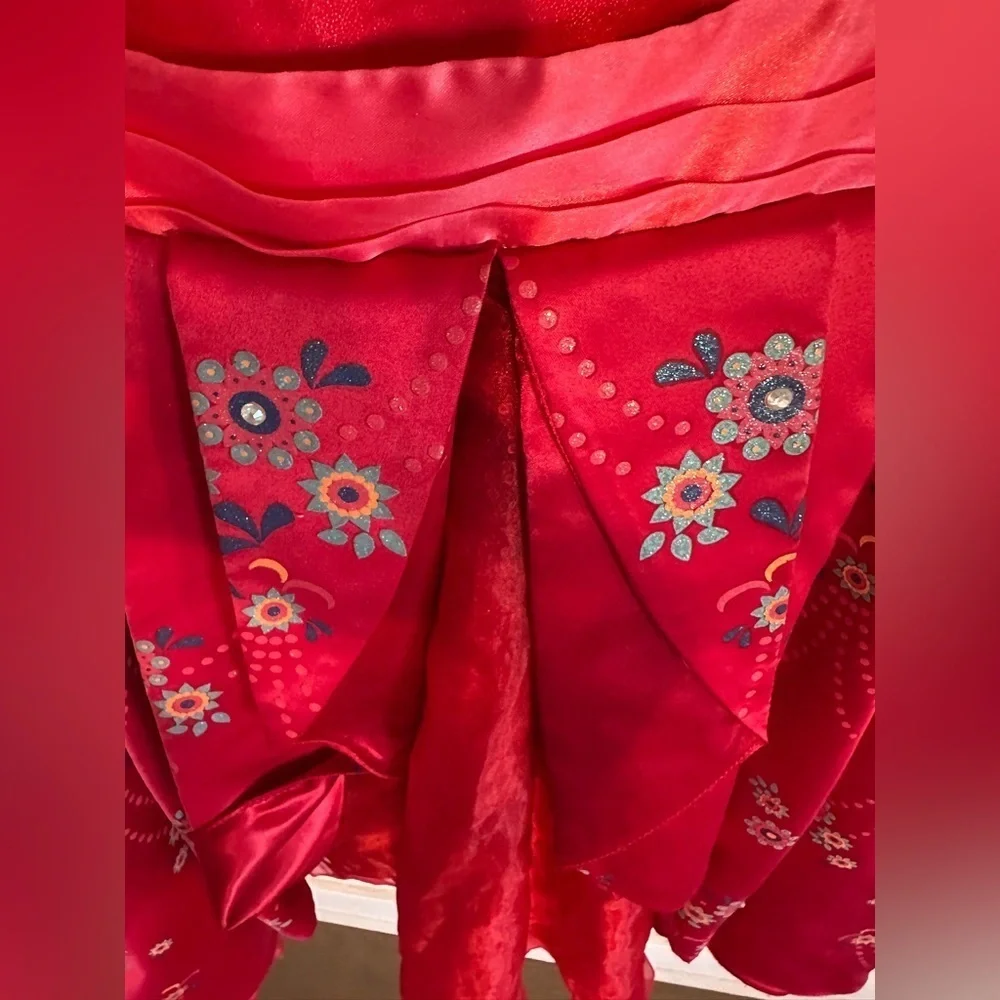 Elena Of Avalor Girls size 5/ 6 Deluxe Costume by Chasing Fireflies